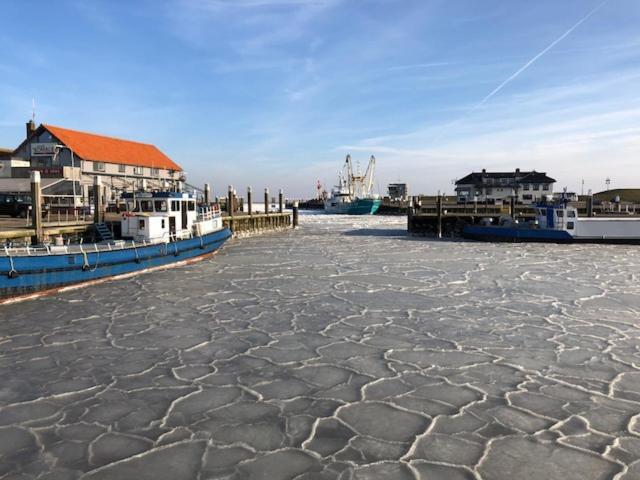 Duinhotel Texel Де-Коог Екстер'єр фото